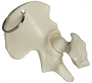 Photo of Hip Bone Keyring