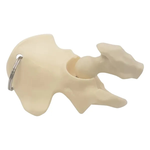 Photo of Hip Bone Keyring