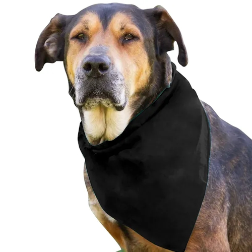 Main photo of Garyline® Large Triangle Doggie Bandana