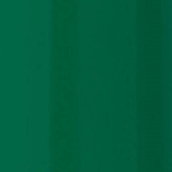 Green/  Black Medium Ink color option for Bic Emblem Color Pen