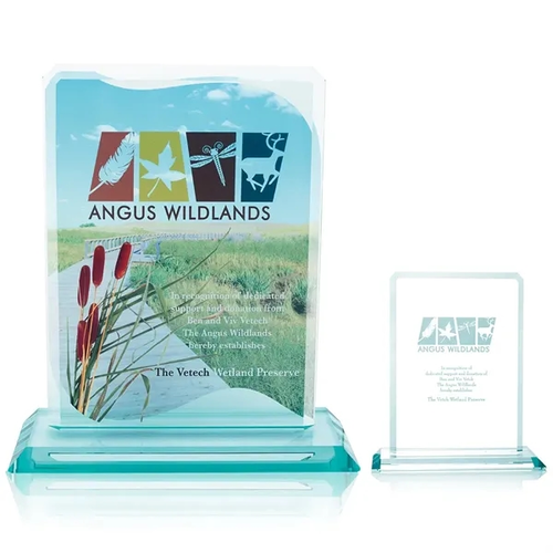 Main photo of Jaffa® Clipped Jade Crystal Award
