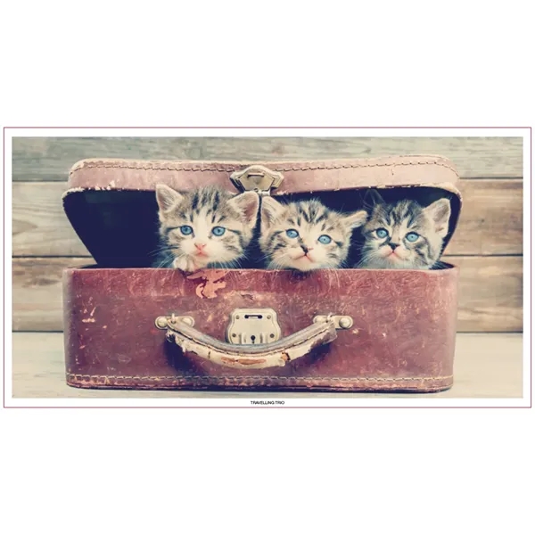 White color option for Skinner & Kennedy® Large Everyday Farm Memo