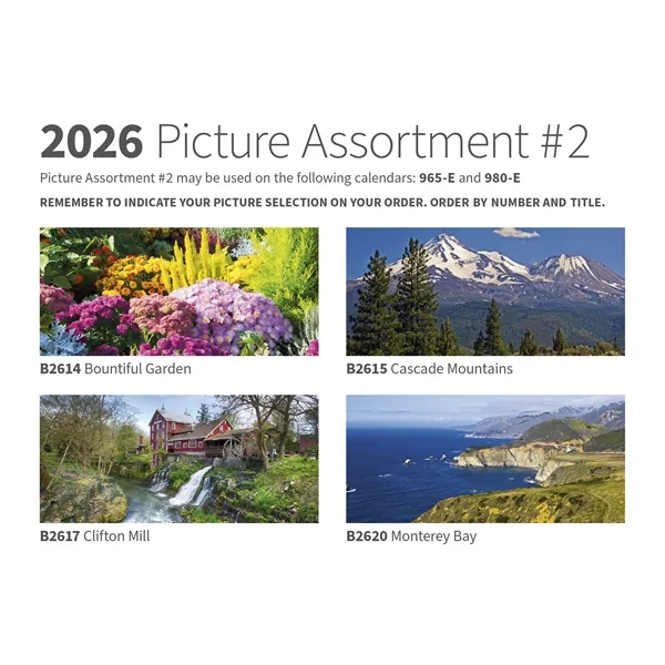 White color option for Skinner & Kennedy® Budget Appointment
