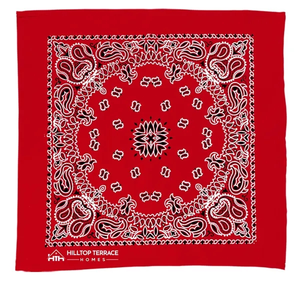 Photo of Garyline® 22" Bandana With Stock Paisley Pattern