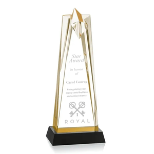 Photo of Shooting Star Award