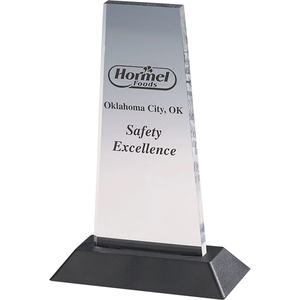 Photo of Clear Acrylic Award
