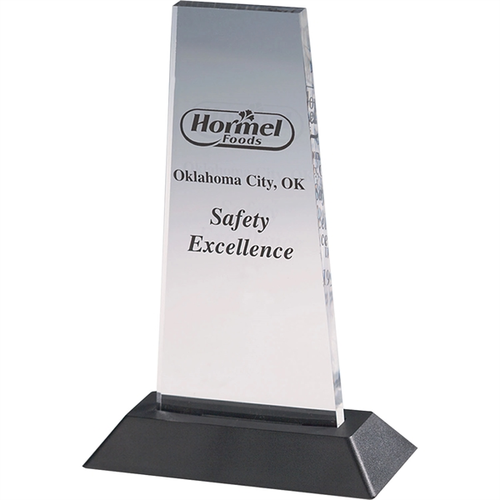 Main photo of Clear Acrylic Award