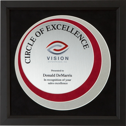 Main photo of Framed Award