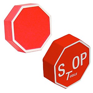 Photo of Stop Sign