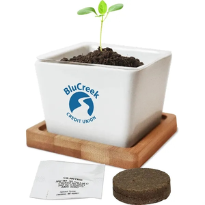 Photo of Ceramic Planter