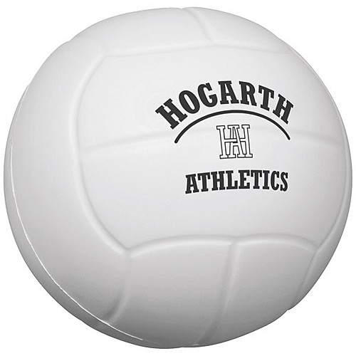 Photo of Volleyball