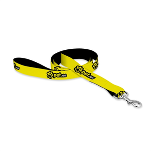 Photo of Dog Leash