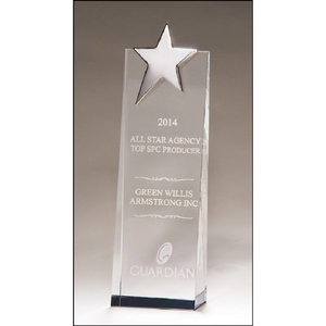Photo of Crystal Awards 2.75x9