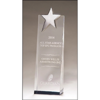 Crystal Awards 2.75x9