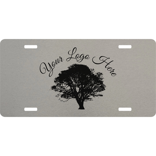 Photo of Brushed Aluminum License Plate