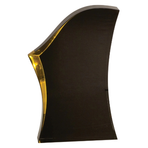 Photo of Black/Gold Luminary Surge Acrylic Award