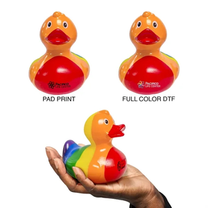 Photo of Rainbow Duck