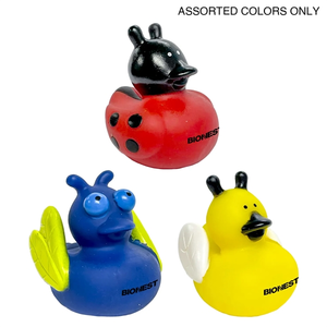 Photo of Insect Ducks