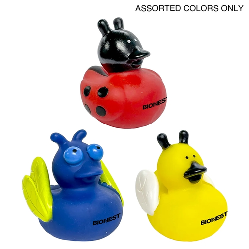 Photo of Insect Ducks