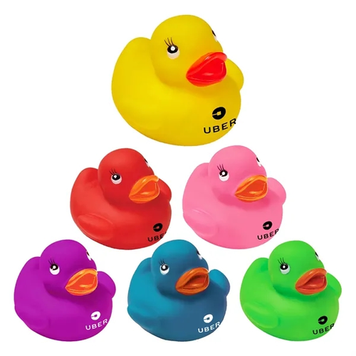Main photo of Colorful Duck