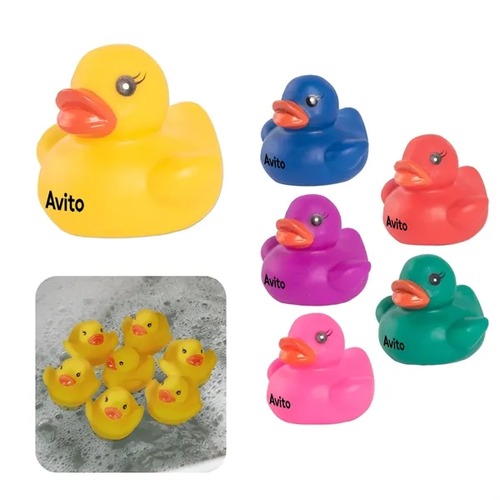 Photo of Colorful Duck