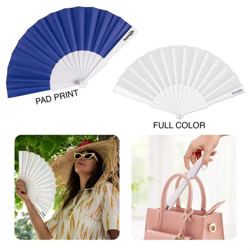 Main photo of Accordion Fan