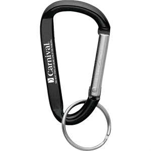 Photo of Small Carabiner Key Ring