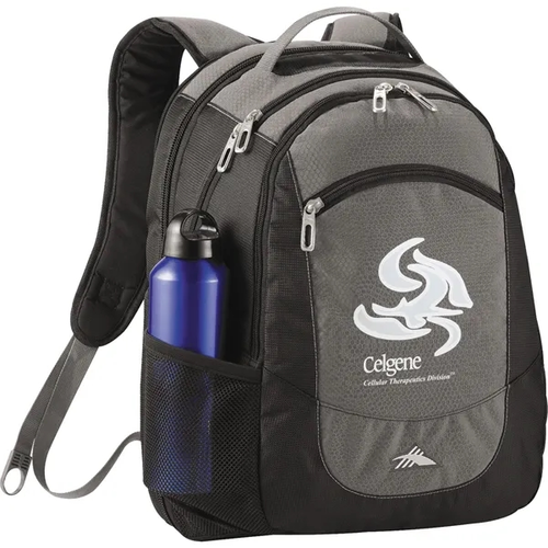 Main photo of High Sierra Fly By 17" Computer Backpack