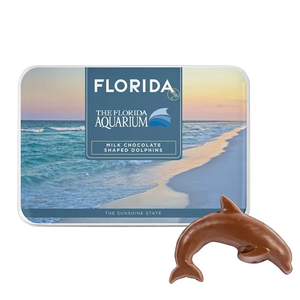 Photo of Gift Tin With Dolphin Shaped Chocolates