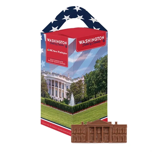 Photo of Washington D.C. Souvenir Tote Box