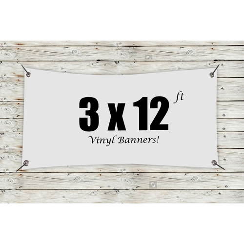 Main photo of Custom 3' X 12' Vinyl Banners