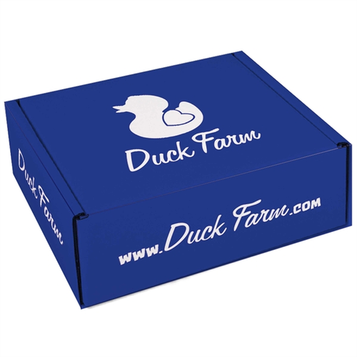 Main photo of Custom E Flute Mailer Box 507