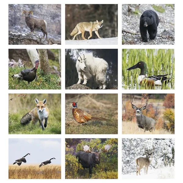 White color option for Wildlife Portraits Stapled Calendar