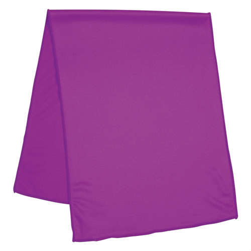Main photo of Instant Dry Sport Towel