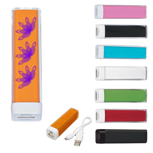 Photo of Next Level Power Bank