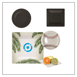 Photo of Regular Sized Square Plate