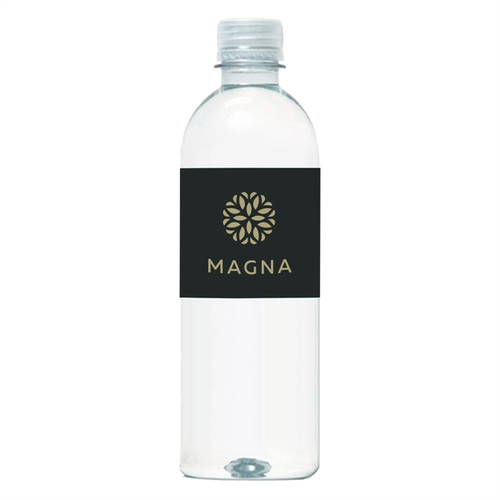 Main photo of 16.9 Oz Bottled Water