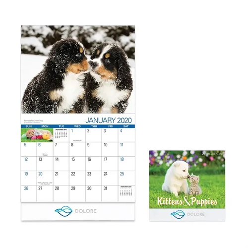 Main photo of Charming Kittens And Puppies 2020 Calendar