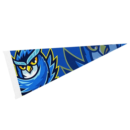 Main photo of 4" X 10" Full Color Felt Pennant   With Strip