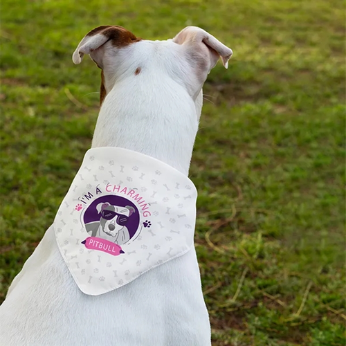 Photo of Pet Bandana Full Color 19x19