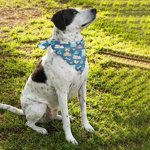 Photo of Pet Bandana Full Color 20x20