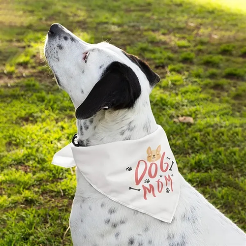 Photo of Pet Bandana Full Color 21x21