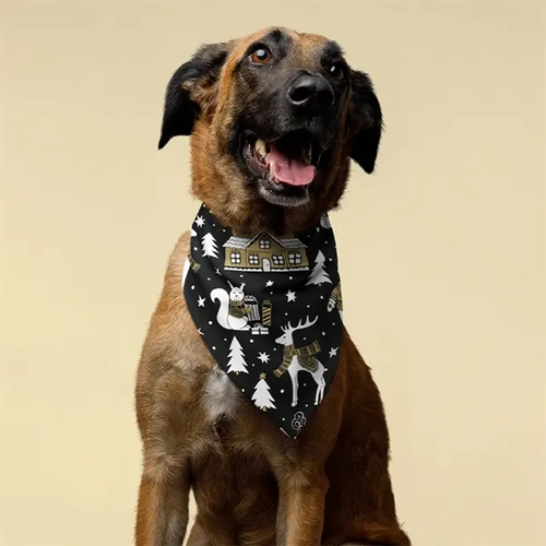 Photo of Pet Hemmed Bandana Full Color 16x16