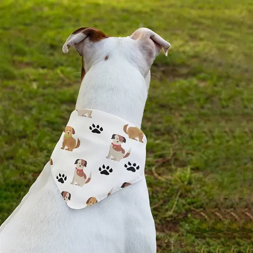 Photo of Pet Hemmed Bandana Full Color 18x18