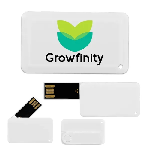 Main photo of Franklin Mini Rectangle Swivel Card Usb 2 Gb