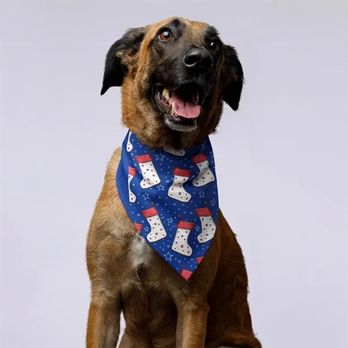 Photo of Pet Hemmed Bandana Full Color 19x19