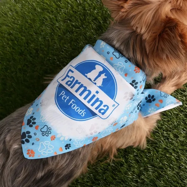 Multi Color color option for Sublimated Rpet Bandana