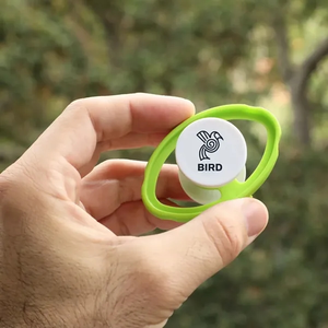 Photo of Axis Double Spinner