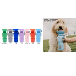 Photo of Springer 22oz Mini Travel Bottle
