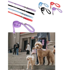 Photo of Springer Small Dog Leash